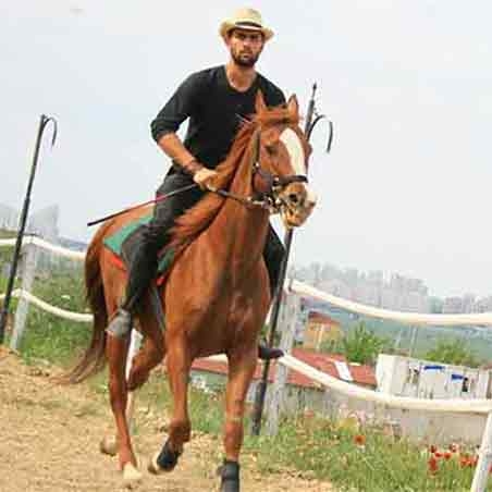 Galeri Fotoğraf 3