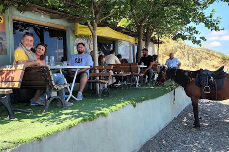 Avcılar Binicilik - At Safari